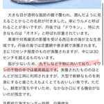 ヌードル＆スパイスカレー 今日の1番 - 久しぶりの登場　ウルメさん　2/2