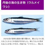 ヌードル＆スパイスカレー 今日の1番 - 久しぶりの登場　ウルメさん　1/2