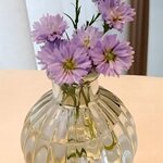 リストランテ ラ ソリア - （2024.11）