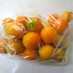 丸ニ青果 - 金柑