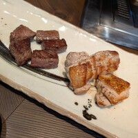 SAI.teppan - 