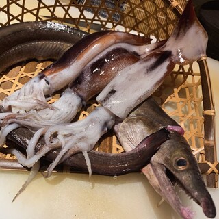 天ぷらと旨い肴と美味しい酒の店 尭の天_2