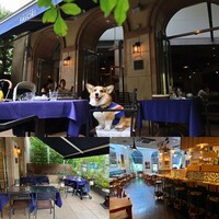 BISTRO FAVORI 代官山 - 