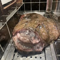 いせ源 - 