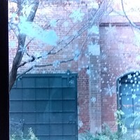 レストラン キルン - 