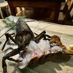 シュリンプバンク - 