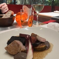Benoit Alain Ducasse - 