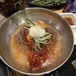 河南テジチッ - 