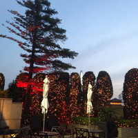 RISTORANTE OZIO - 
