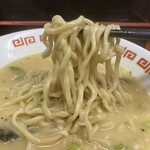 やぶれかぶれ - 