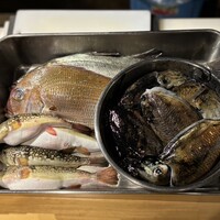 鮨 稲穂 - 本日の地魚たち！！