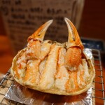 コンペイトウ - 