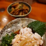 コンペイトウ - 