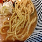 麺家 たけ田 - 麺の感じ