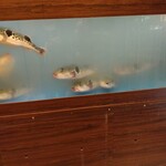 ふぐ料理 百福 池下店 - 