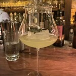 ベンフィディック - 202412  森