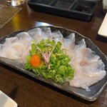 月の家 - 