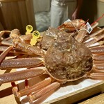 橦木町 しみず - 