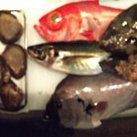 二代目 やっこ -  オコゼ、城下カレイ、金目、関アジ、赤貝、石鯛、太モズク。