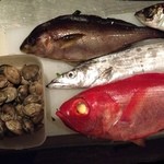 二代目 やっこ -  生タコ、ワカメ、金目、赤貝、関イサキ、太刀魚、アサリ。