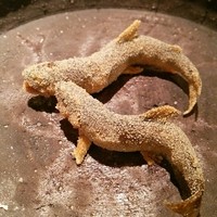 料理屋 植むら - 鮎の唐揚げ