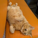 ハッピーケイチャンホシミッツ - 