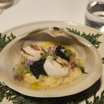 レフェルヴェソンス - 