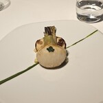 レフェルヴェソンス - 