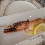 わがまんま鷹 - 唯一のタンパク質