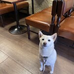 喫茶 ストリーマー - 