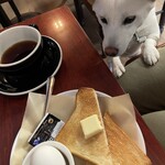 喫茶 ストリーマー - 