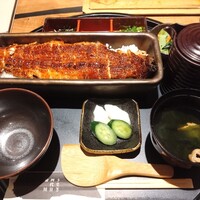 うなぎ四代目菊川 ミッドランドスクエア 名古屋本店 - 一本ひつまぶし