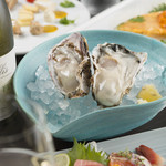 Raw Oysters