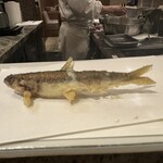 てんぷら 天翔 - 