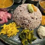 Curry Spice Gelateria KALPASI - 