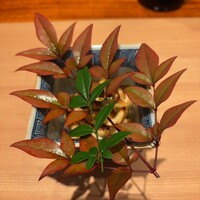 香嵐 - 