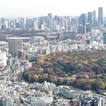 松阪牛 よし田 - 