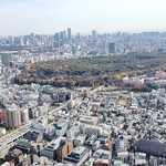 松阪牛 よし田 - 