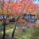 鍵善良房 - 紅葉が終わってなくて良かった