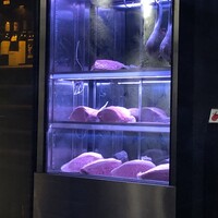 焼肉㐂舌 南船場 - 