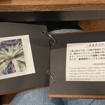 taketomi629 - 島野菜の解説つき