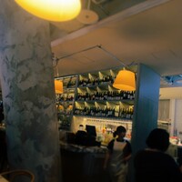 THE APOLLO - 