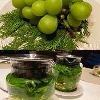 スガラボヴィー - 