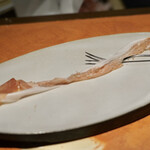 アマランサス - 