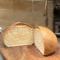 Gibier MIYAMA - 