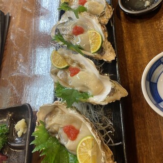 口コミ一覧 : 海鮮居酒屋 檸檬 （かいせんいざかや れもん） - 日吉