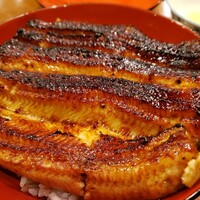 吉寅 -  吉寅 -