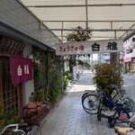 白雅 - 