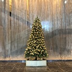 レストラン シンフォニー -   *…ᴍᴇʀʀʏ ᴄʜʀɪsᴛᴍᴀs…*