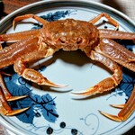 閑祥庵 禅紫 - 生の松葉がに